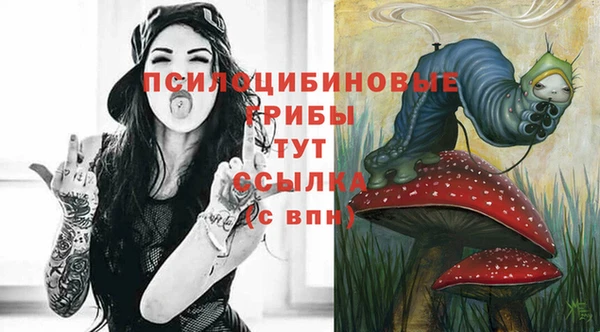 PSILOCYBIN Алексин
