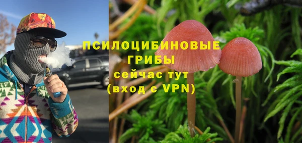 PSILOCYBIN Алексин