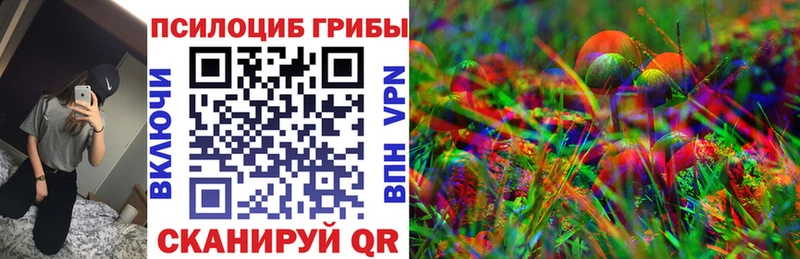Галлюциногенные грибы Cubensis  закладка  Гуково 